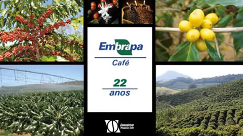 Embrapa Café - 22 anos